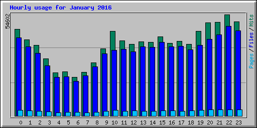 Hourly usage for January 2016